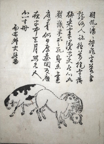 Ziege ziegen japanischer - ziege,